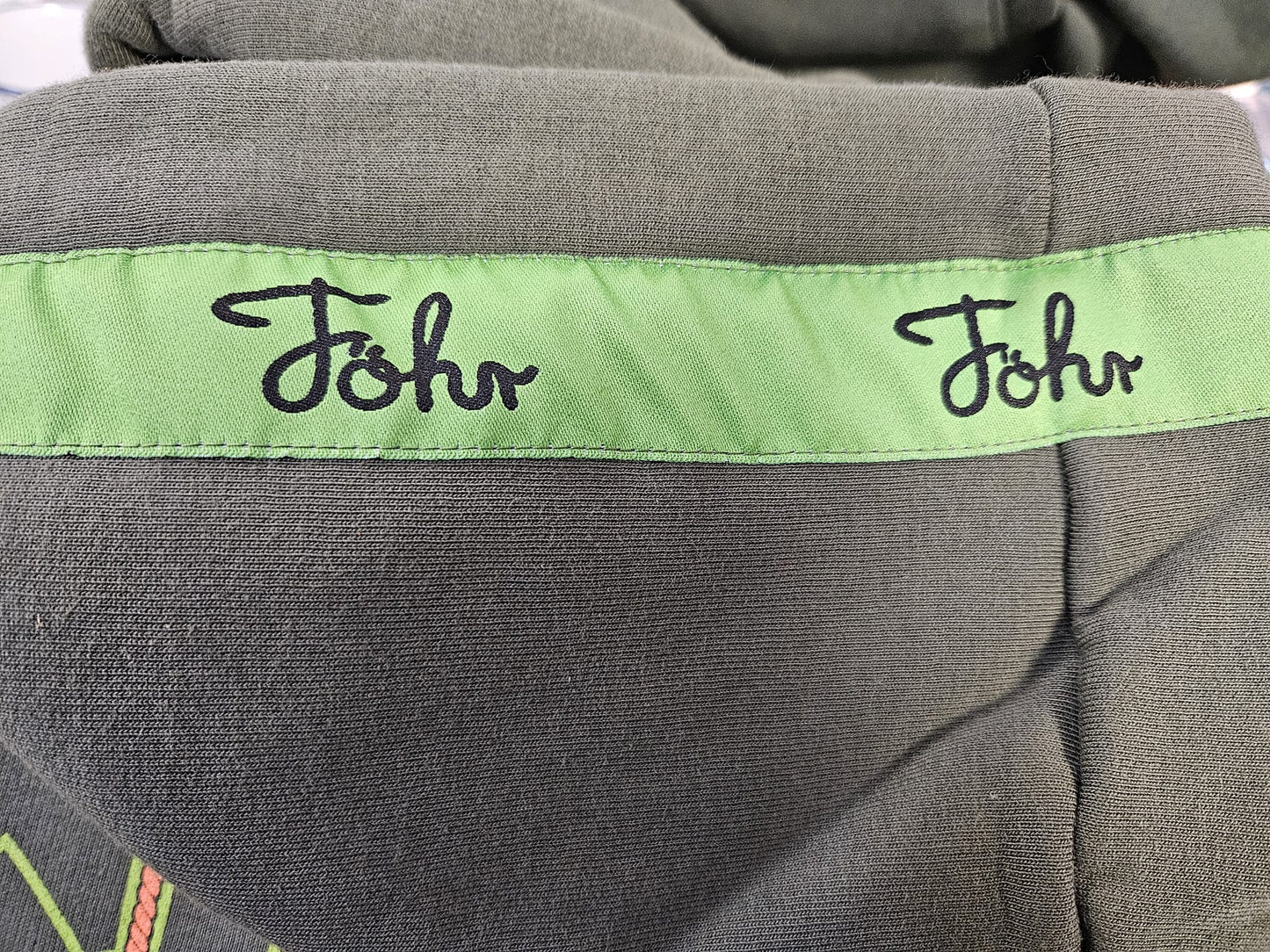 Föhr Hoodie grün