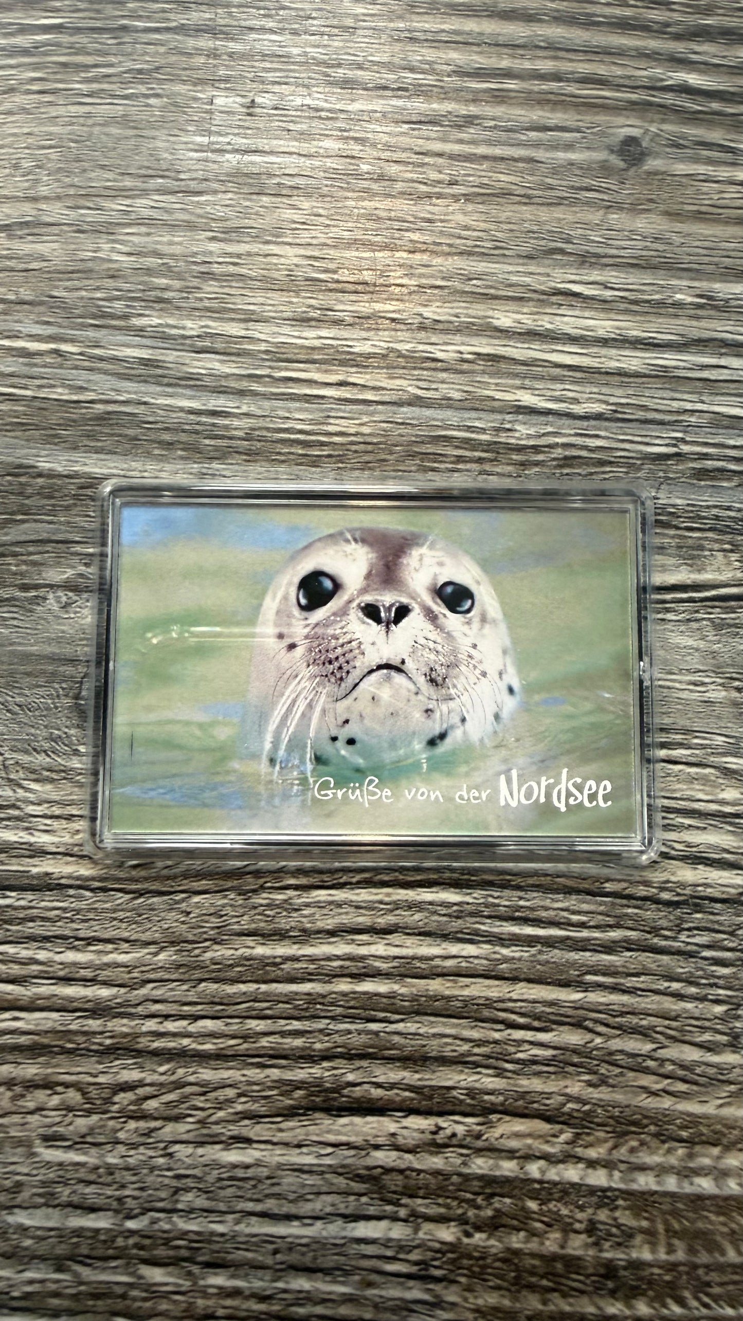 Magnet mit verschiedenen Motiven