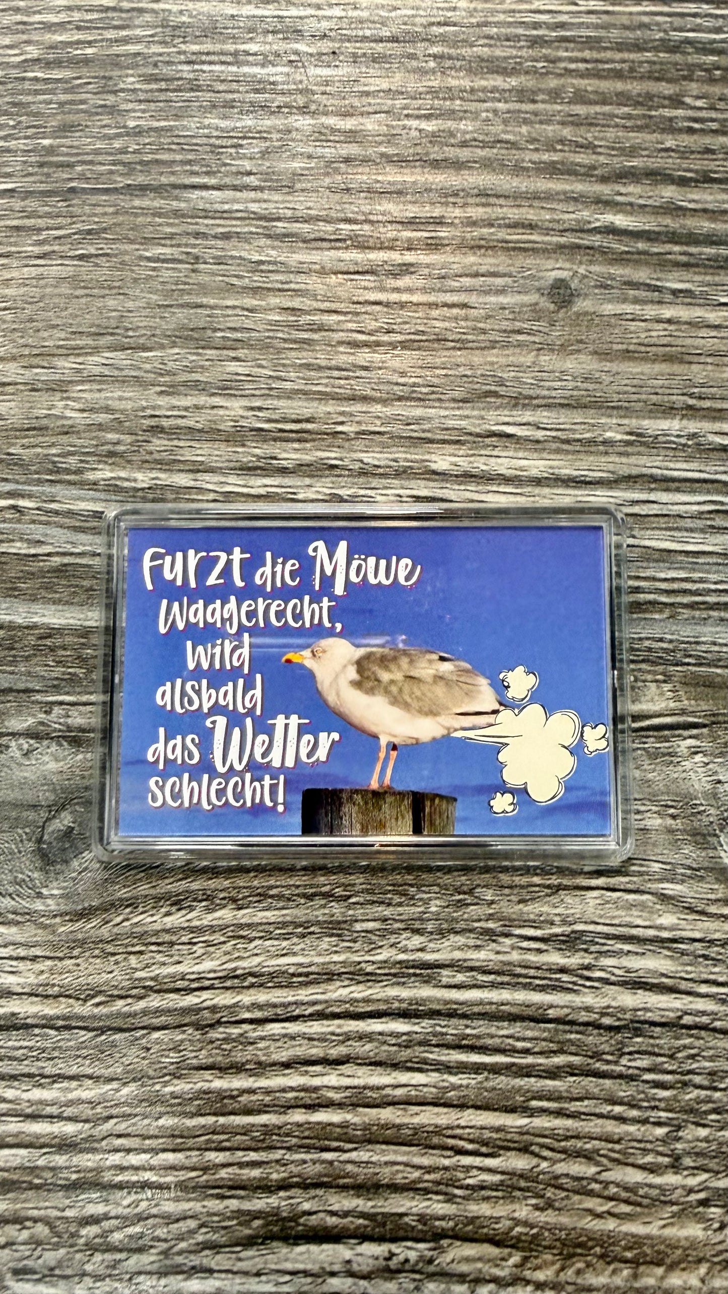Magnet mit verschiedenen Motiven